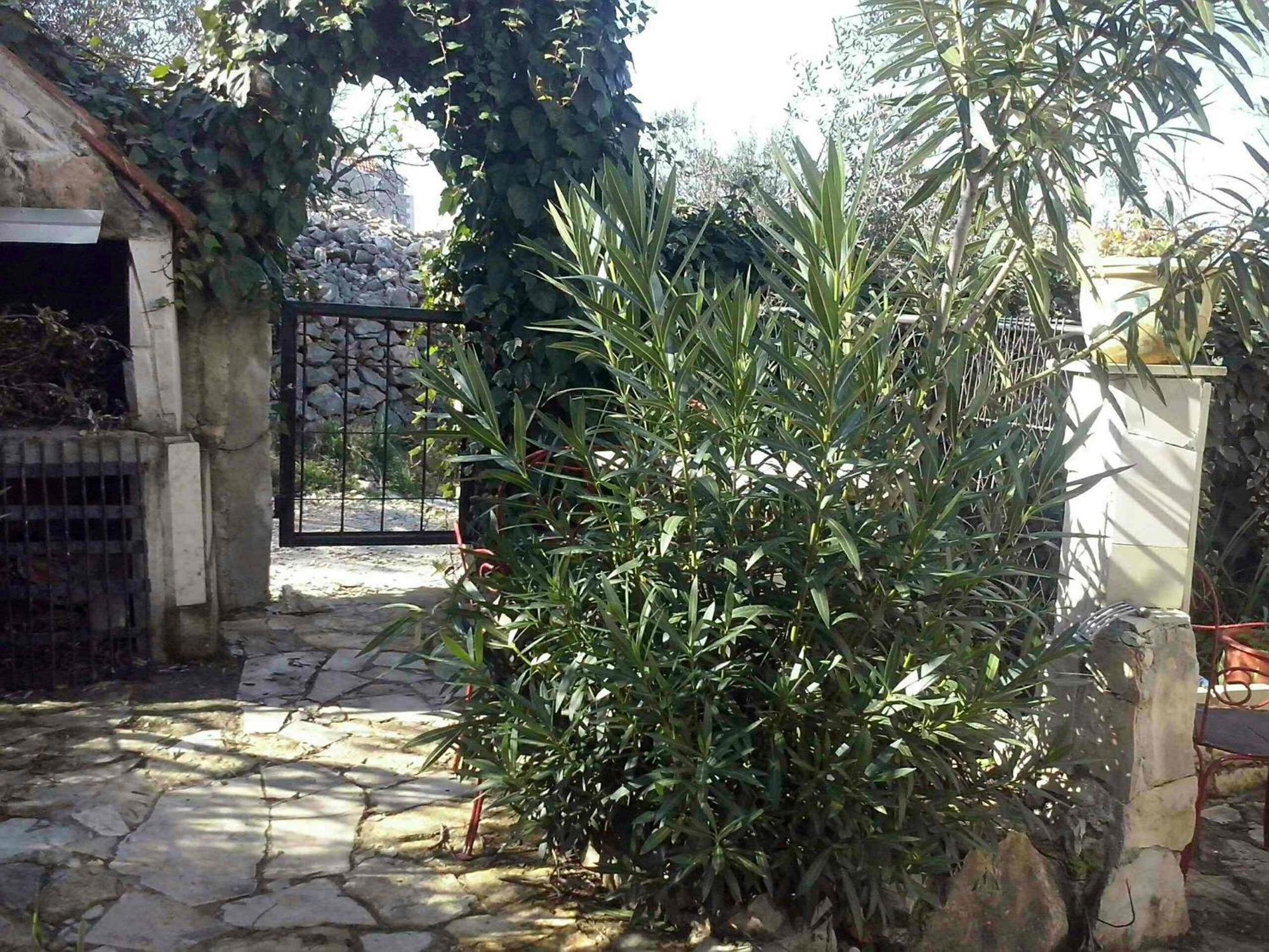 Apartment Ma'Re سوبيتار المظهر الخارجي الصورة